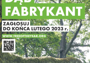 Dąb Fabrykant w parku Klepacza w Łodzi.