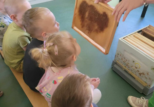 Dzieci siedzą na dywanie i oglądają plaster miodu.