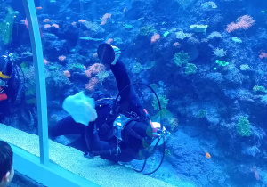 Ryby w łódzkim Orientarium.