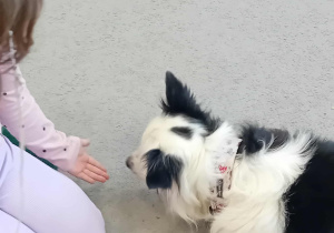 Sunia Lili leży na dywanie, a przed nią siedzi dziewczynka wyciągająca do niej rękę.