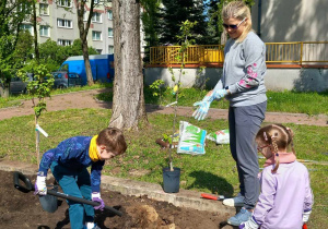 Mama z dziećmi sadzą rośliny w ogrodzie.