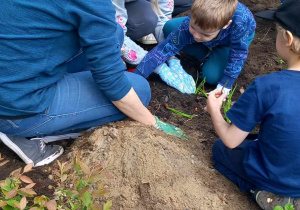 Nauczycielka z dziećmi sadzi rośliny w ogrodzie.