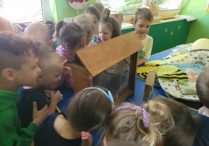 Dzieci stoją przy stole i obserwują pszczoły.