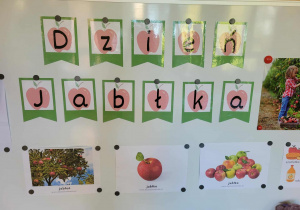 Zdjęcie 5 na 11