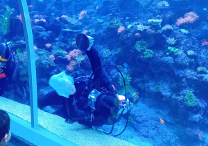 Ryby w łódzkim Orientarium.