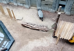 Tapir w łódzkim ZOO.