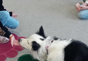 Sunia Lili leży na dywanie, a przed nią siedzi dziewczynka wyciągająca do niej rękę. W kółku na dywanie siedzą dzieci.