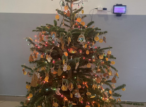 Piernikowa choinka stoi w szatni, ubrana przez dzieci w piernikowe ozdoby.