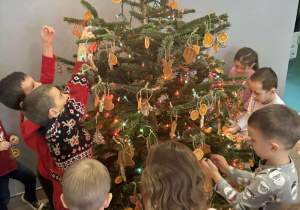 Dzieci ubierają choinkę w piernikowe ozdoby w szatni przedszkola.