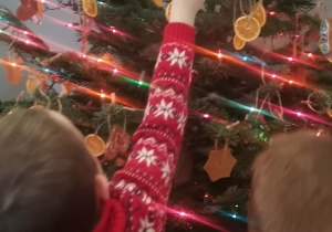 Dzieci ubierają choinkę w piernikowe ozdoby w szatni przedszkola.