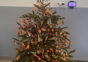 Udekorowana w piernikowe ozdoby przez dzieci choinka stoi w szatni przedszkola.