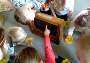 Dzieci siedzą na dywanie i obserwują pszczoły w edukacyjnym ulu.