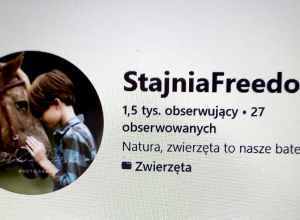 Logo StajniFreedeom.