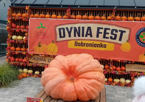 Ekspozycja ogromnej dyni na tle napisu "Dynia fest Dobronianka".