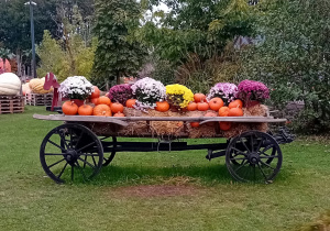 Ekspozycja z dyń na wozie drabiniastym.