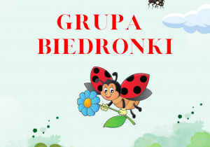 Plakat grupy Biedronki.